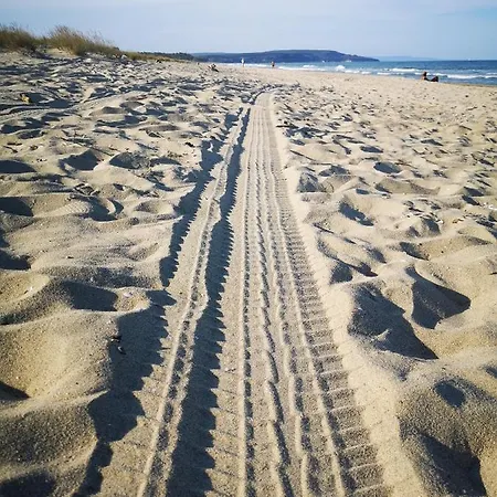 Weisser Schwan белият лебед Szálloda Skorpilovci