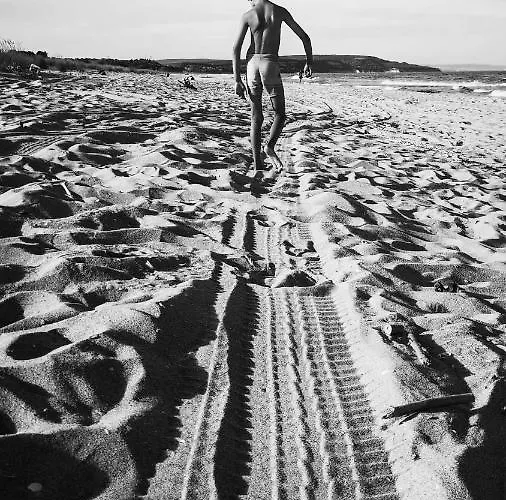 酒店 Weisser Schwan белият лебед 希科尔皮诺夫西