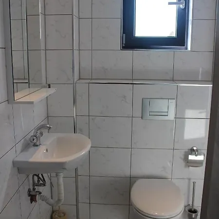Hotel Weisser Schwan белият лебед
