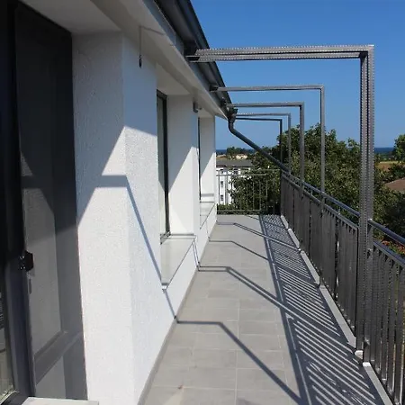 Weißer Schwan белият лебед