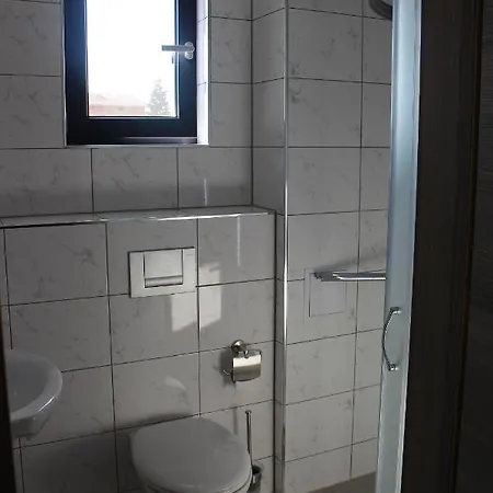 Hotel Weisser Schwan белият лебед