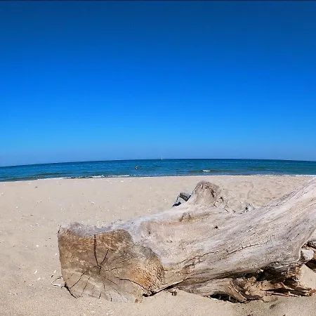 Weißer Schwan белият лебед Хотел Шкорпиловци