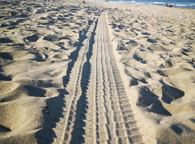 Weisser Schwan белият лебед Hotel Shkorpilovtsi